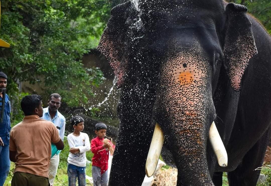 ಹರಿತಲೇಖನಿ ದಿನಕ್ಕೊಂದು ಕಥೆ: ನಂಬಿಕೆ