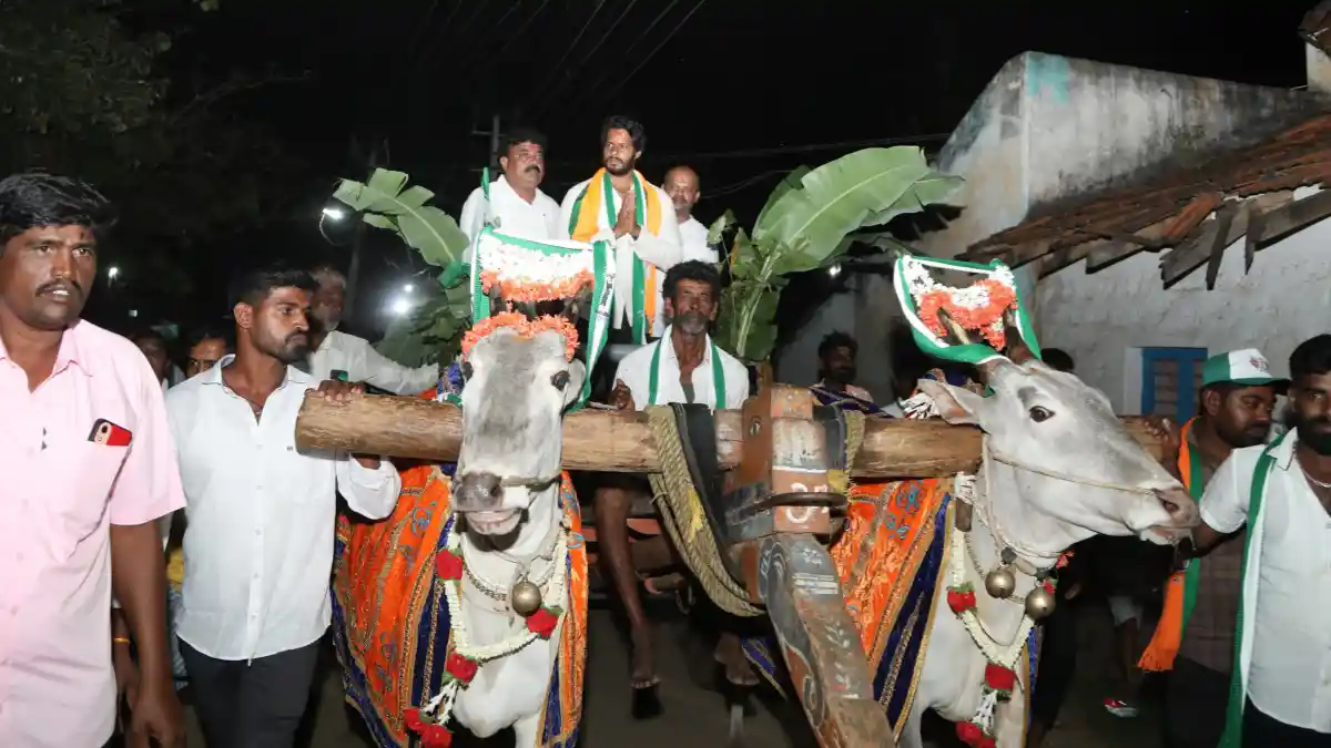 ಎತ್ತಿನ ಬಂಡಿಯಲ್ಲಿ ಮತ ಶಿಕಾರಿ