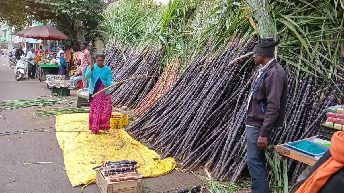 Sankranti 2025  ಗಗನಕ್ಕೇರಿದ ಬೆಲೆಗಳ ನಡುವೆ ಸಂಕ್ರಾಂತಿ ಸ್ವಾಗತಿಸಲು ಸಿದ್ಧತೆ